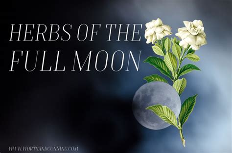 The Full Moon and Dream Magick: Enhancing Psychic Abilities in Wiccan Rituals